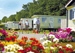 http://www.parks.find-british-holidays.co.uk/Seadown-Park-Charmouth-SEAD/accommodation.html